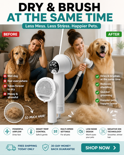 2-in-1 Silent Pet Hair Dryer & Grooming Brush